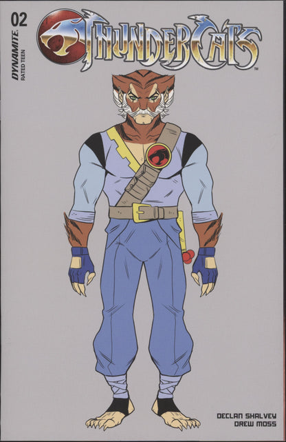 Thundercats Issue #2K 1:10 Retailer Incentive Variant