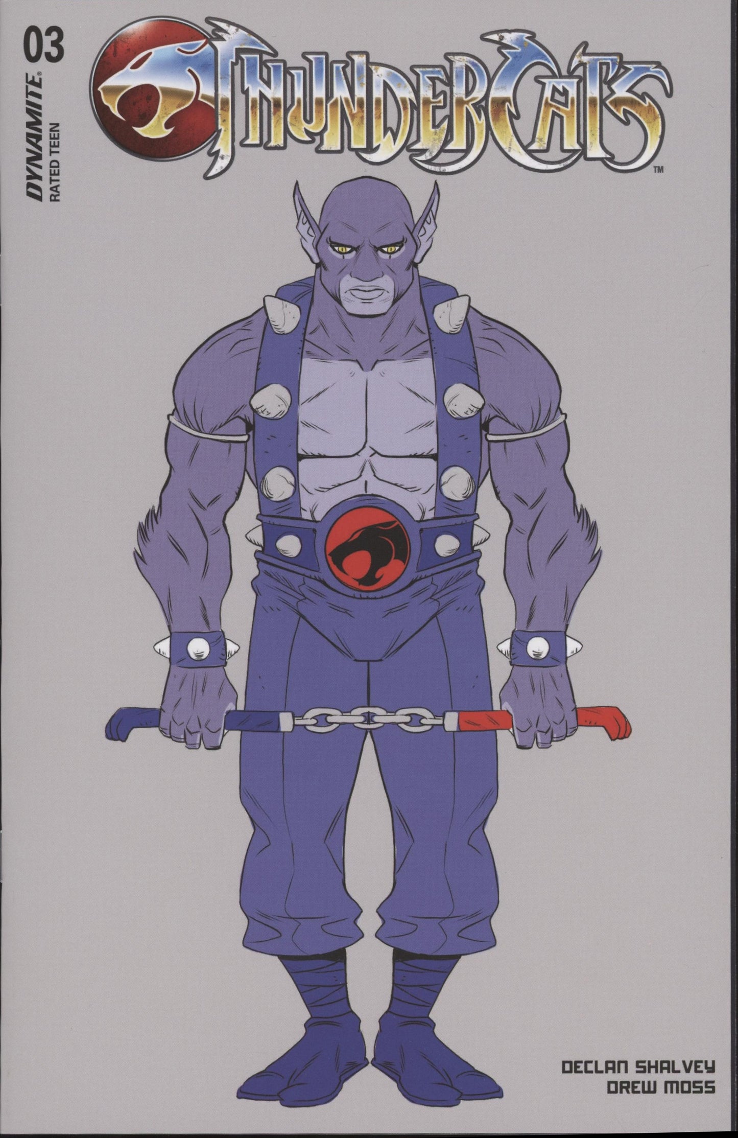 Thundercats Issue #3K 1:10 Retailer Incentive Variant