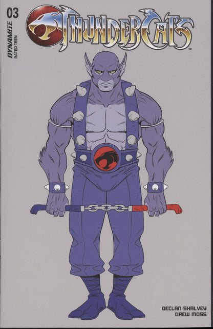 Thundercats Issue #3K 1:10 Retailer Incentive Variant