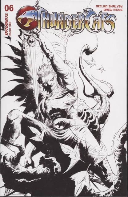 Thundercats Issue #6S 1:20 Retailer Incentive Variant