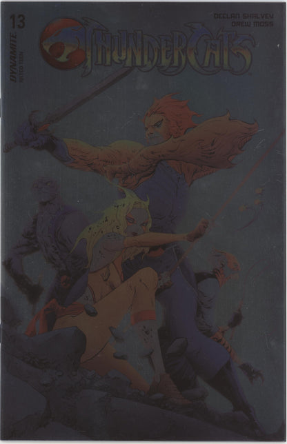 Thundercats Issue #13N 1:15 Retailer Incentive Variant