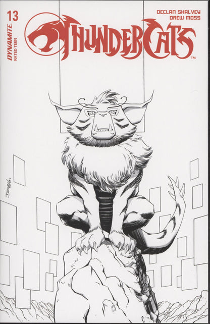 Thundercats Issue #13O 1:15 Retailer Incentive Variant