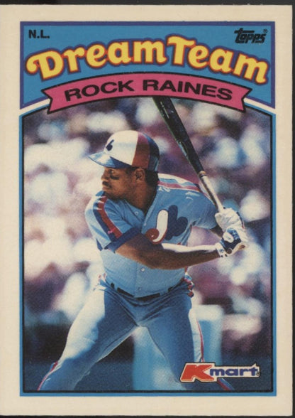 Tim Raines Baseball Lot of 10