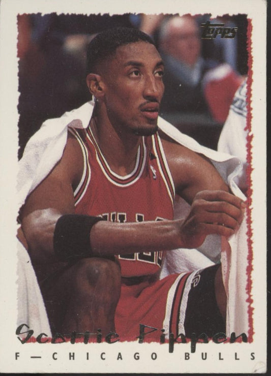 Scottie Pippen Basketball Lot of 10