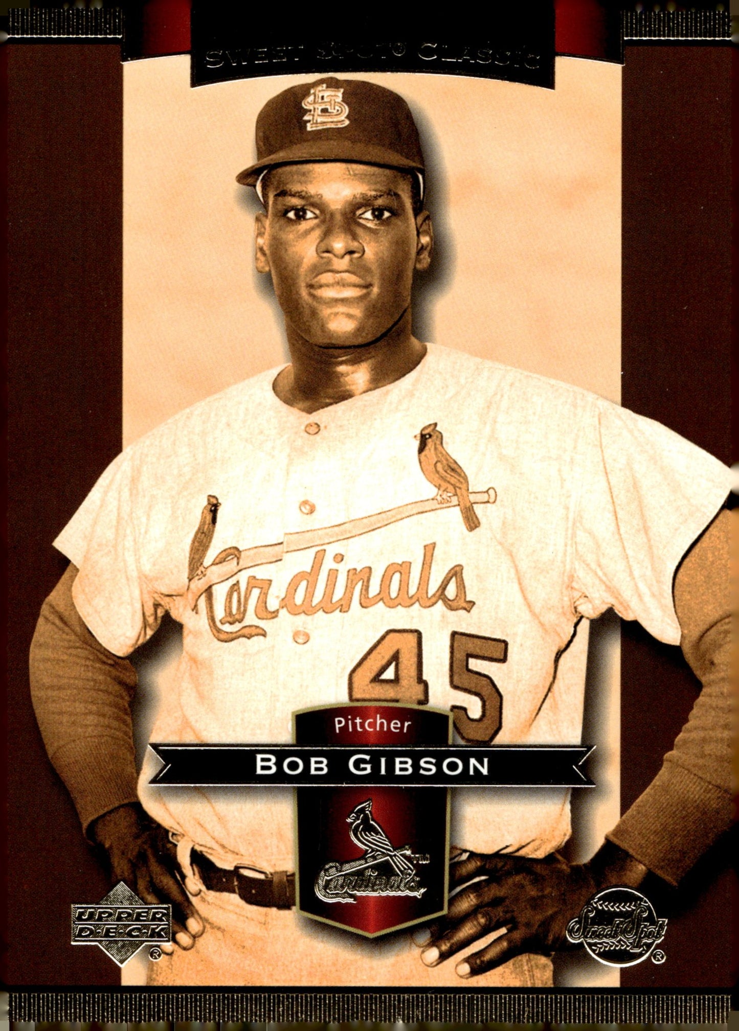 Bob Gibson Baseball Lot of 10 - Collector Store LLC