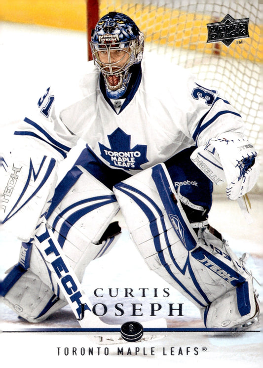 Curtis Joseph Hockey Lot of 10 - Collector Store LLC