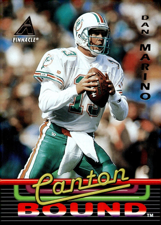 Dan Marino Football Lot of 10 - Collector Store LLC