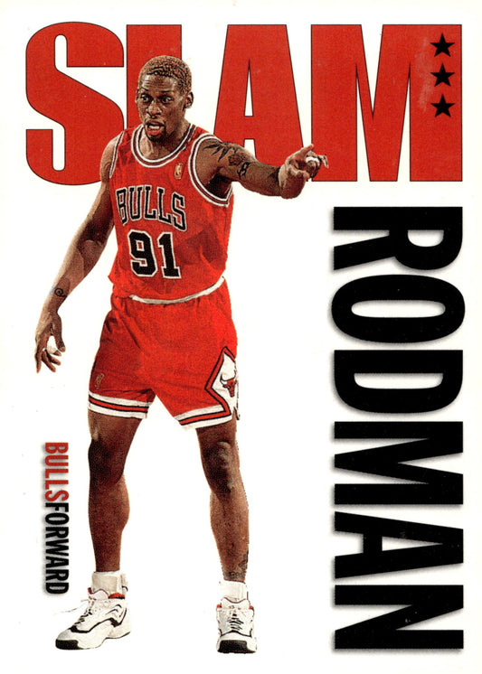 Dennis Rodman Basketball Lot of 10 - Collector Store LLC