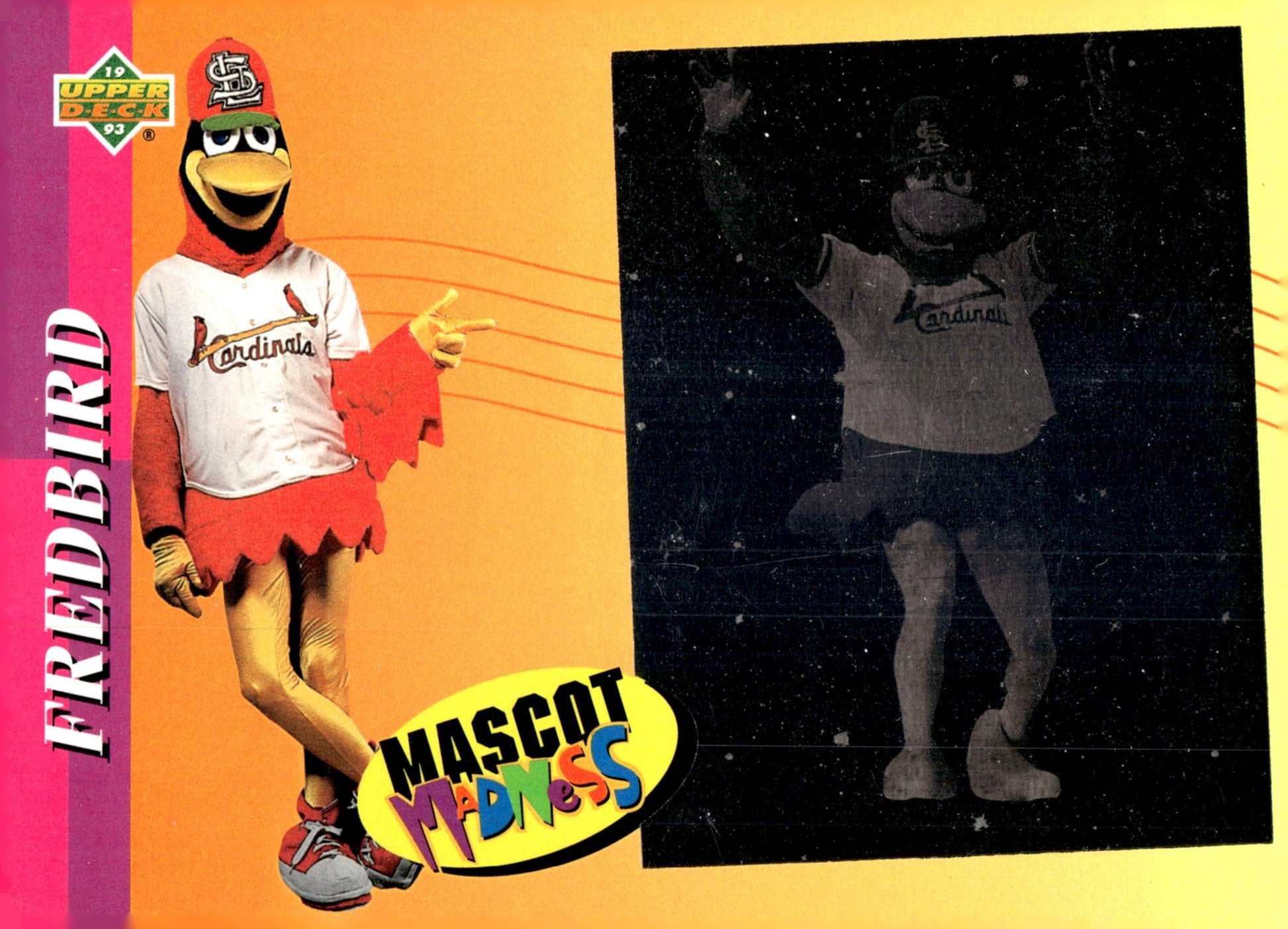 Fredbird 1993 Upper Deck Mascot Madness #3 - Collector Store LLC