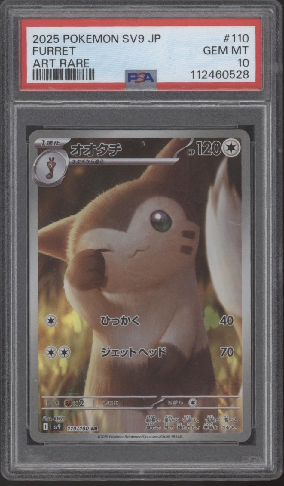 Furret Pokemon Battle Partners Art Rare Japanese 110 PSA 10 - Collector Store LLC