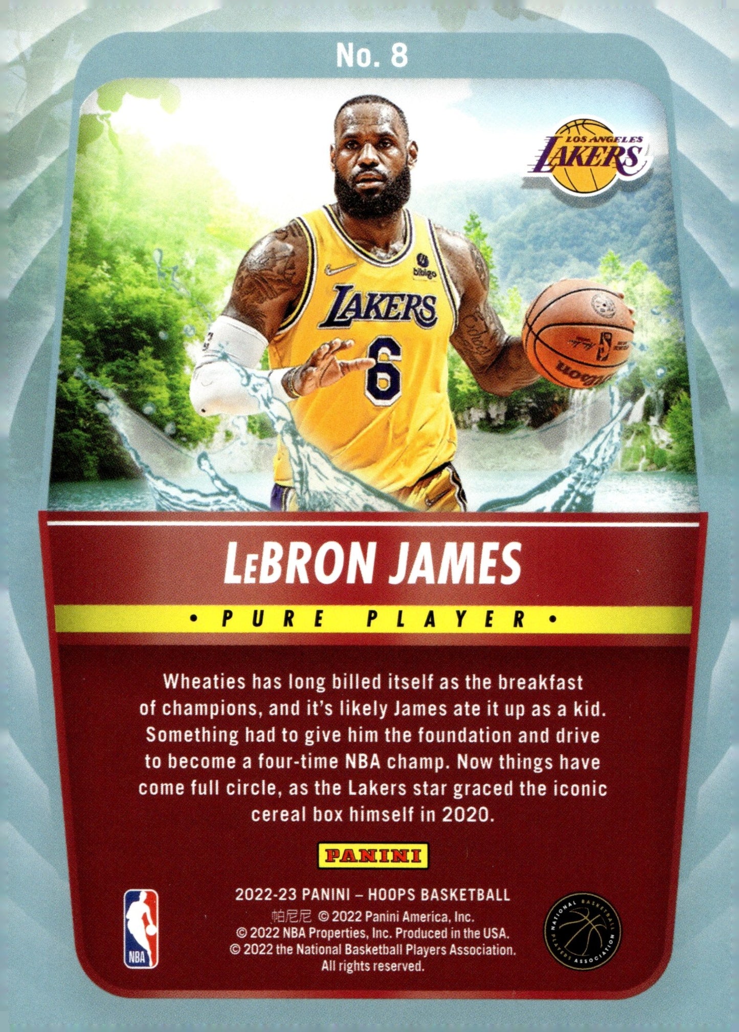 LeBron James 2022 - 23 Panini Hoops Pure Players #8 - Collector Store LLC