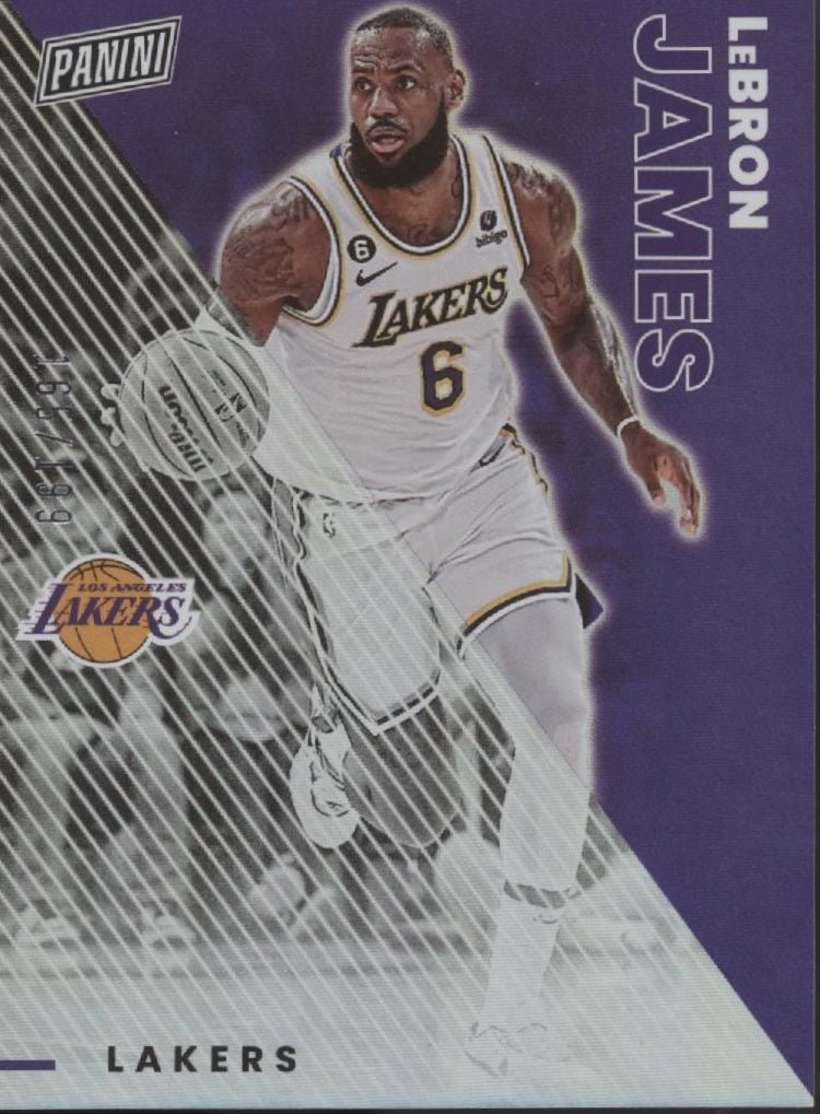 LeBron James 2023 Panini Father's Day 165/199 #19 - Collector Store LLC