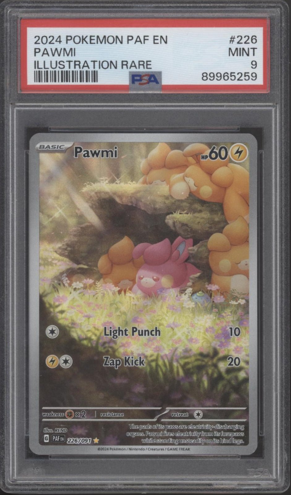 Pawmi Pokemon Paldean Fates Illustration Rare #226 PSA 9 - Collector Store LLC