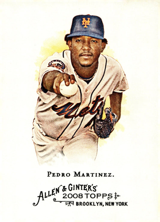 Pedro Martinez Baseball Lot of 10 - Collector Store LLC