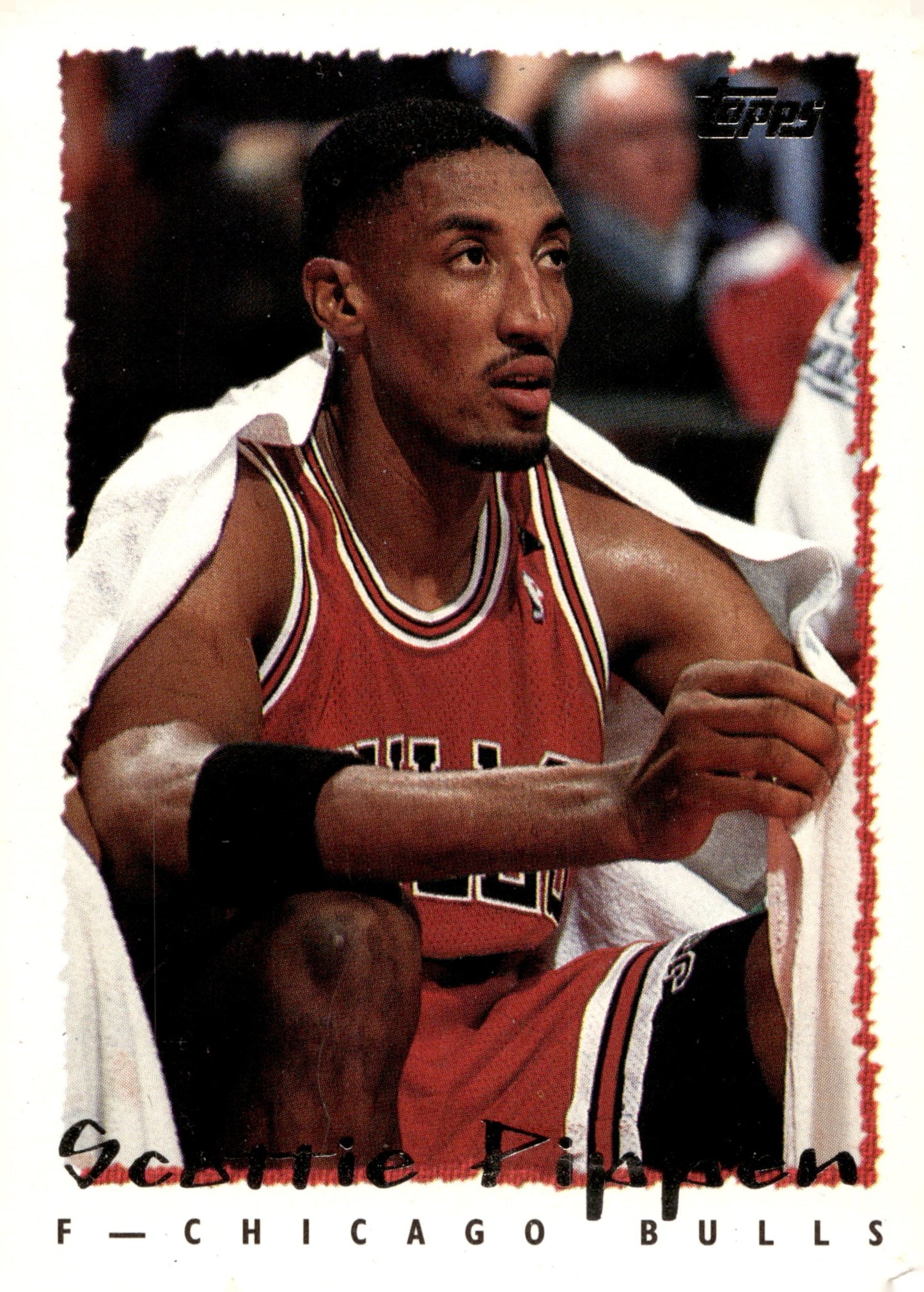 Scottie Pippen Basketball Lot of 10 - Collector Store LLC