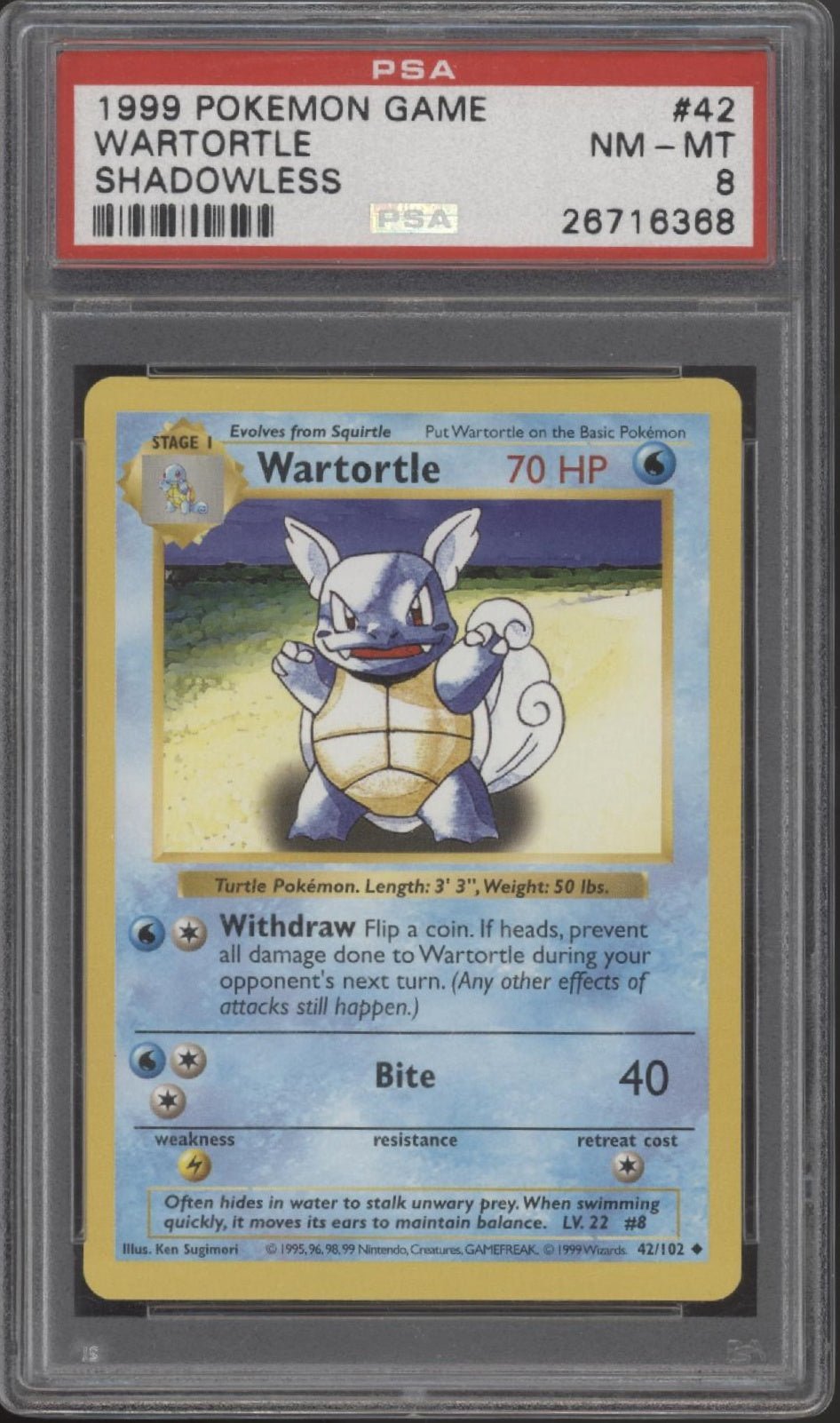 Wartortle Pokemon Base Set Shadowless 42 PSA 8 - Collector Store LLC