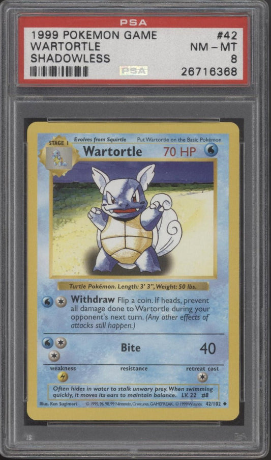 Wartortle Pokemon Base Set Shadowless 42 PSA 8 - Collector Store LLC