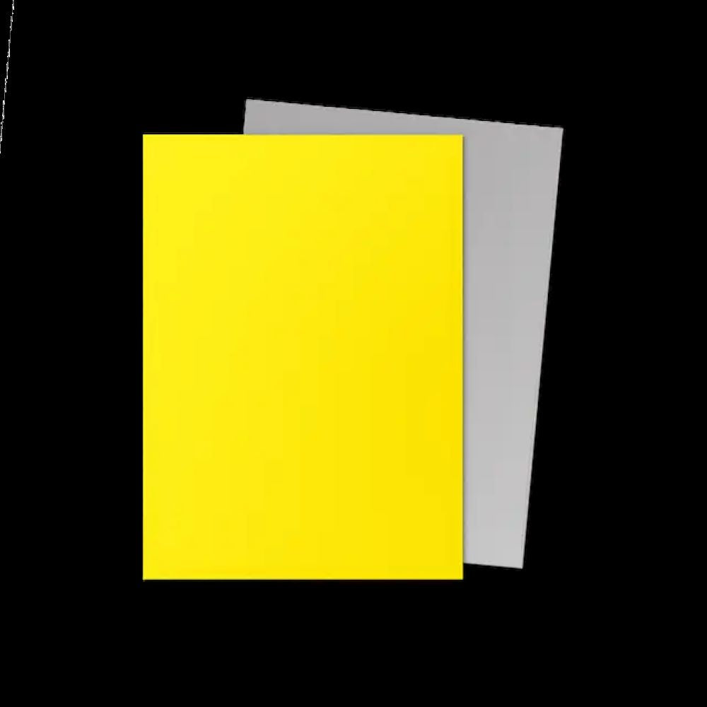 Dragon Shield 100ct Dual Matte Sleeves - Yellow & Silver